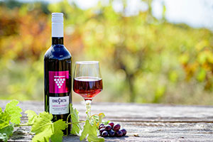 oinocreta.gr - inocreta.eu