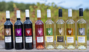 oinocreta.gr - inocreta.eu